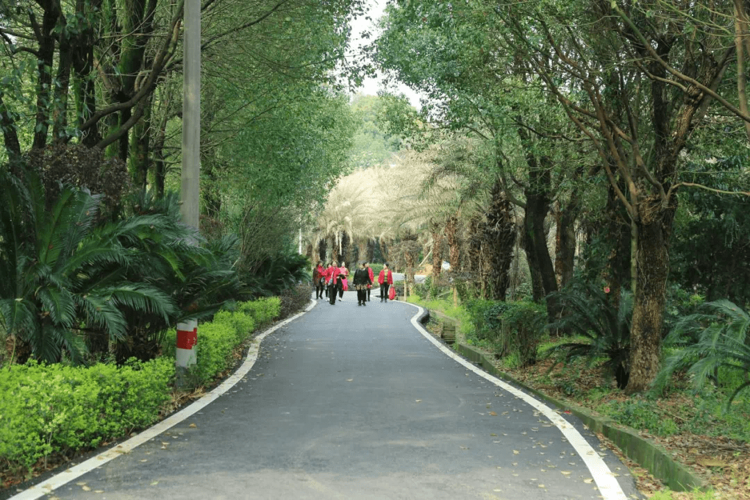 法华山森林步道图片