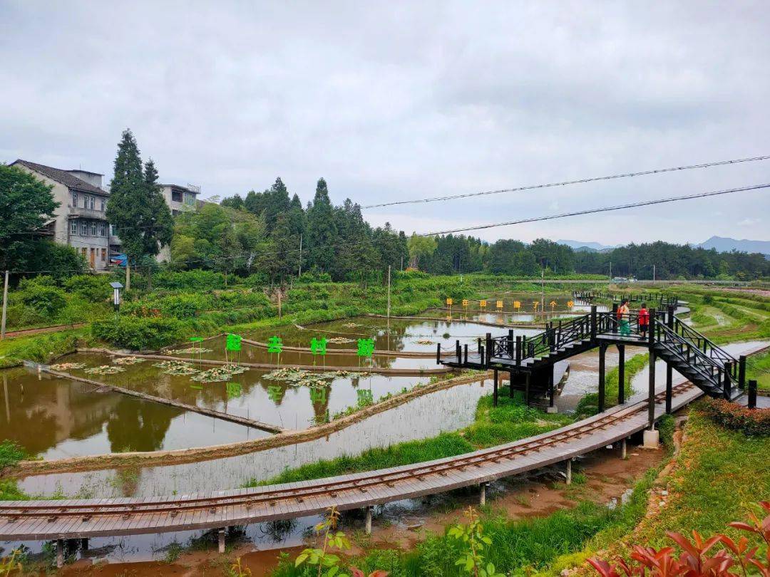 我们村游去温州市乡村旅游文化节暨文成乡村旅游嘉年华闪亮登场