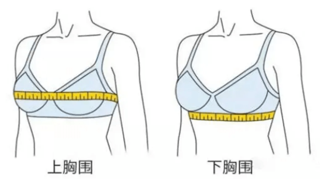 贴合胸型，分为 a / b / c / d / e ， 5 种罩杯，从微乳到挺翘的仙女都能满足。
