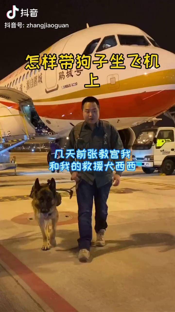怎样带狗子坐飞机详细干货来了张教官与西西救援犬的日常