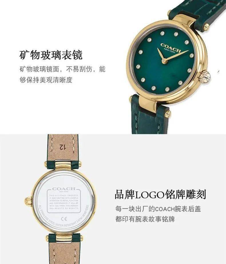 今年时髦人都在戴的小绿表,我选蔻驰coach这只