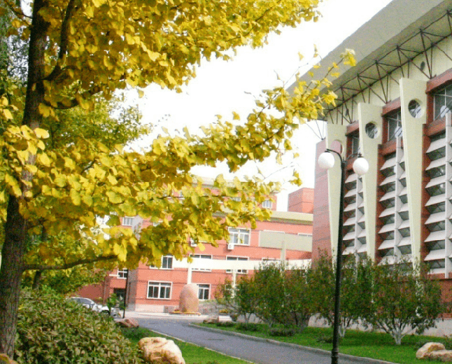 东北育才外国语学校是于1998年由东北育才学校与日本关西语言学院共同
