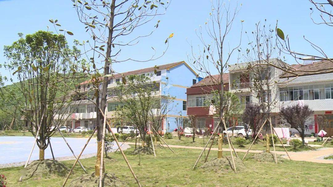 奋斗百年路 启航新征程 | 田家镇街道办事处:增强党史学习教育实效