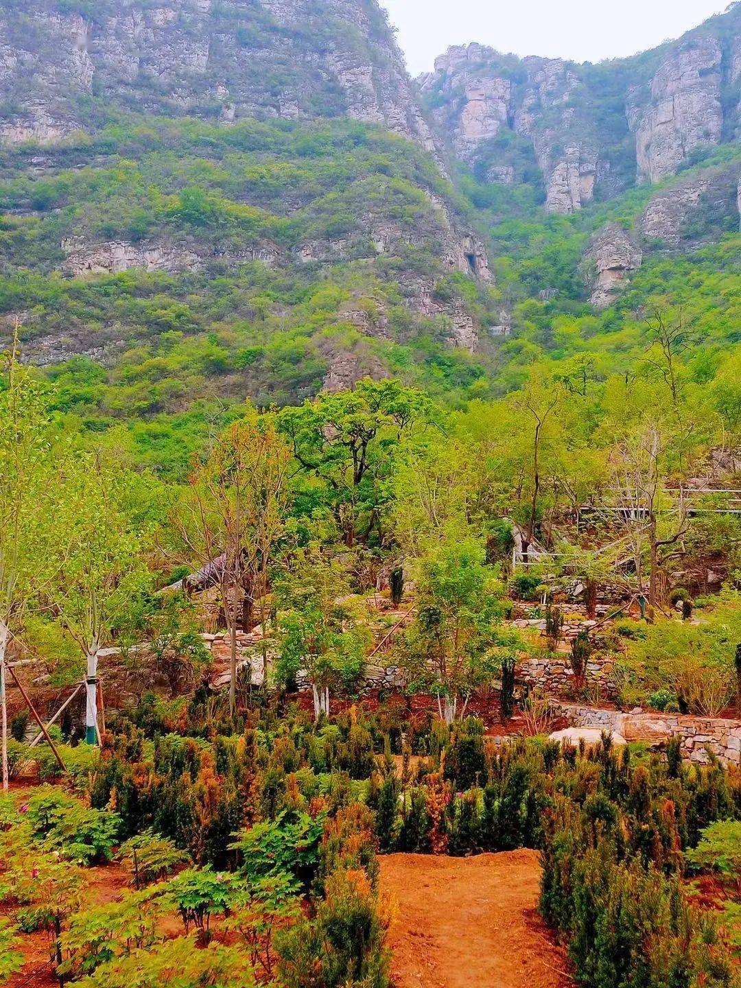 亲子新乐园幽岚山下童话森林试营业免费开放