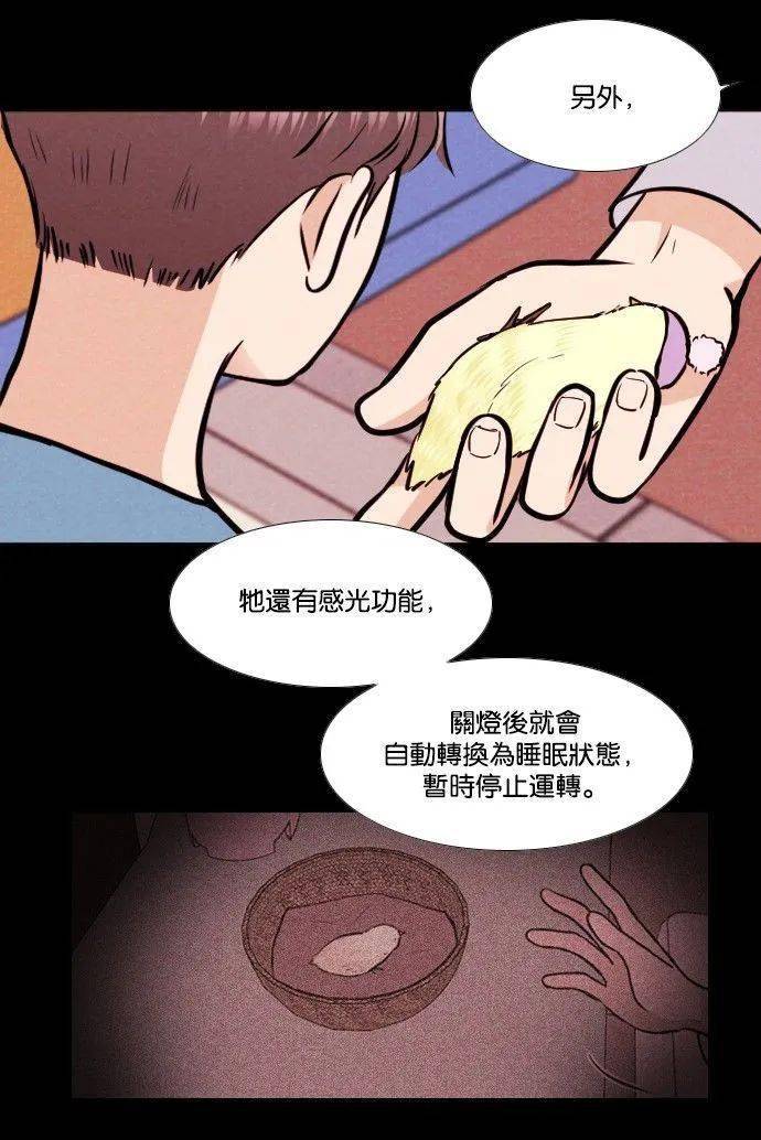 怎么养小鸡才不会死呢 e55f35f710bd430caa88d4a159ea91be.jpeg