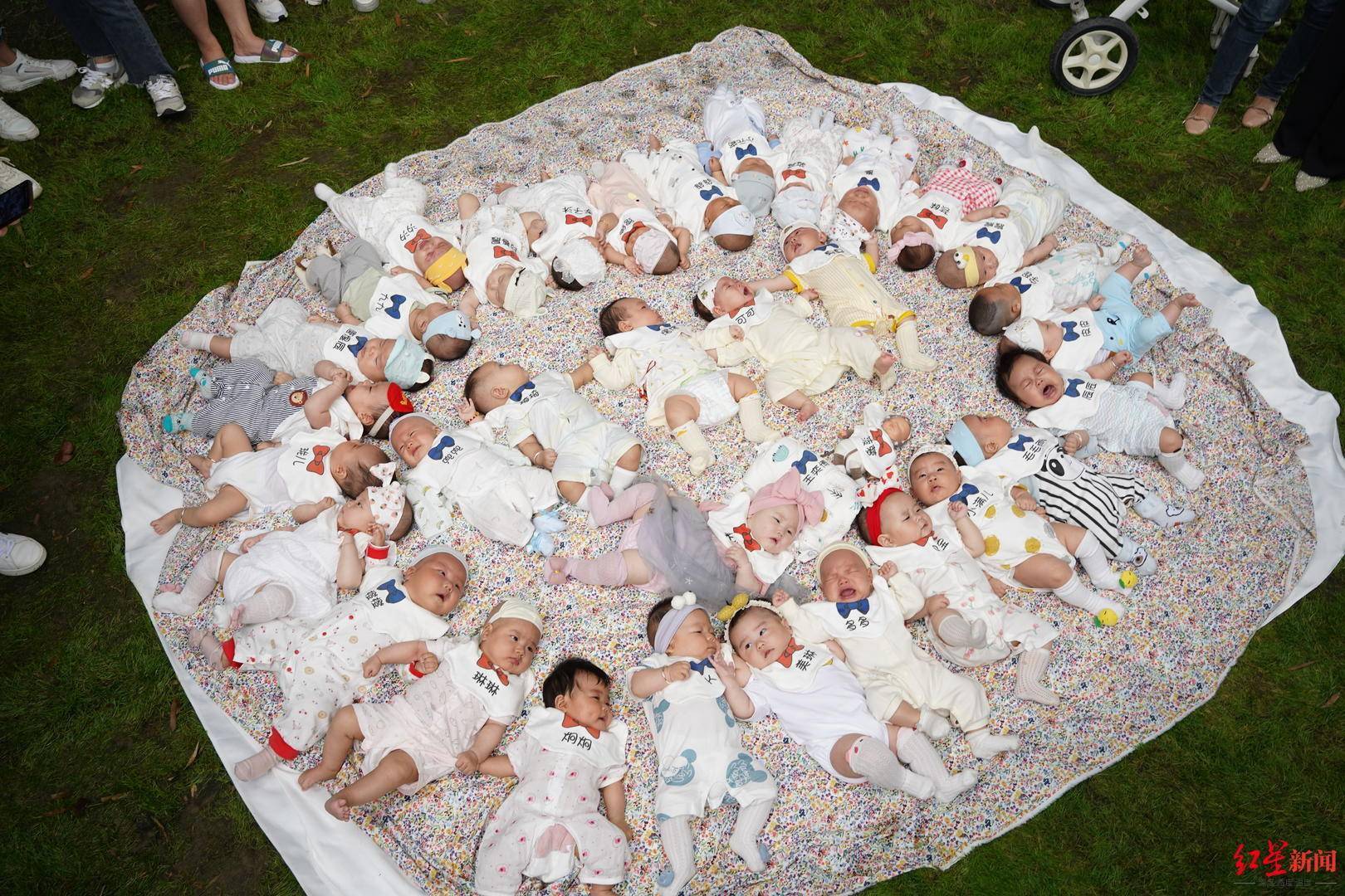 一地萌娃33个宝宝集体拍百天合照萌翻网友一堆王炸