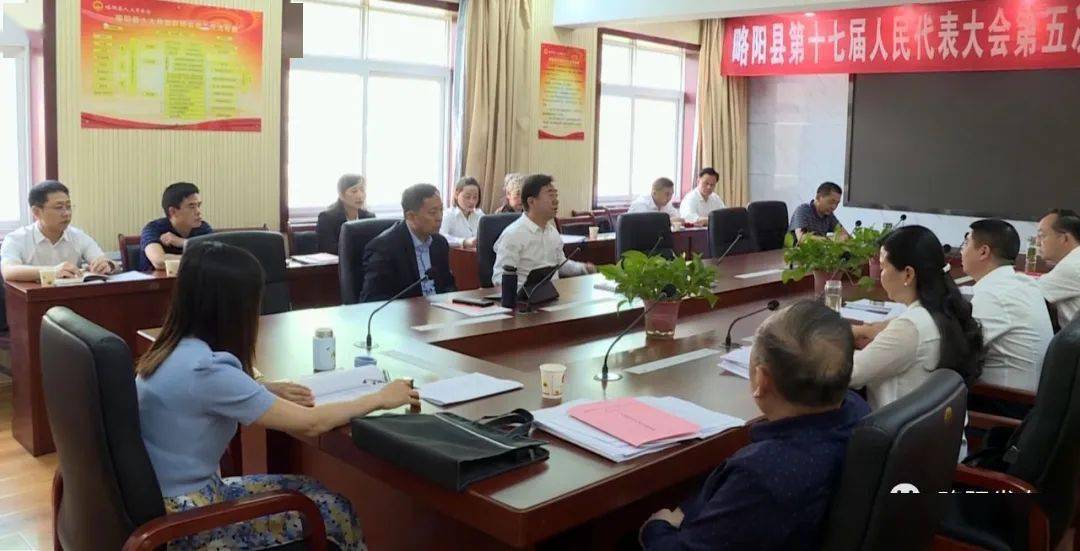 聚焦两会发出略阳好声音县人大代表分团审议政府工作报告