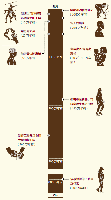 城鎮為中心的新生活,也讓人類付出了流動性的喪失,疾病加速傳播等代價