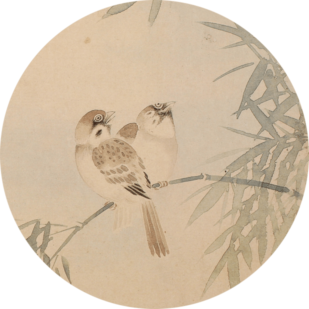 他笔下有润色花开