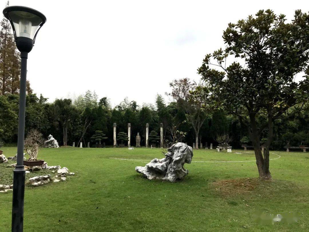 盆景排行_读“中国盆景在世界盆景中的痕迹”一文所想到