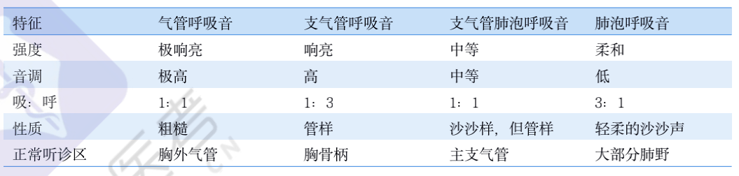 技能考試的心肺聽診考什麼看這一篇就夠了