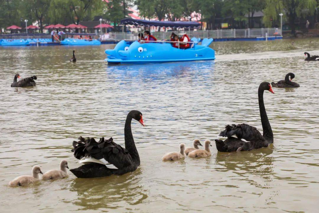 20"!选对地点很重要,总有一款适合你!_动物