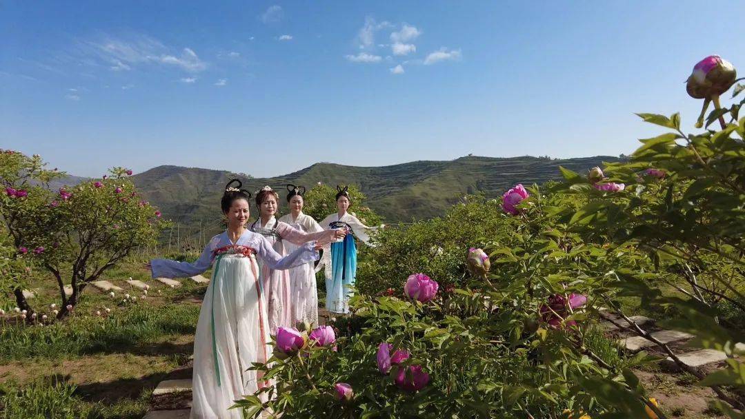 穿越袅袅红尘,如约邂逅南屏泊着山水清欢,伴着牡丹幽香在一场盛开的