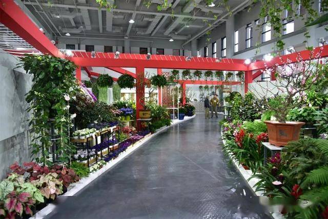 第十届花博会复兴馆看遍全国花省区市室内展区百花绽放