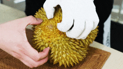 滑似黄油浓香绵密泰国a级金枕榴莲中的王者隔着屏幕都能闻到香气