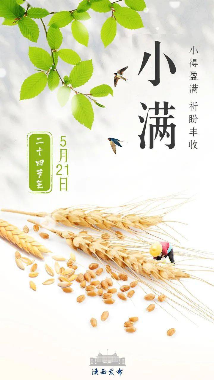 今日小满有诗有雨这个小满让你幸福满满