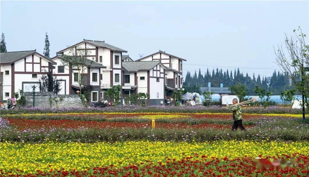 何家院子,位于濛阳镇白土河村,占地约45.