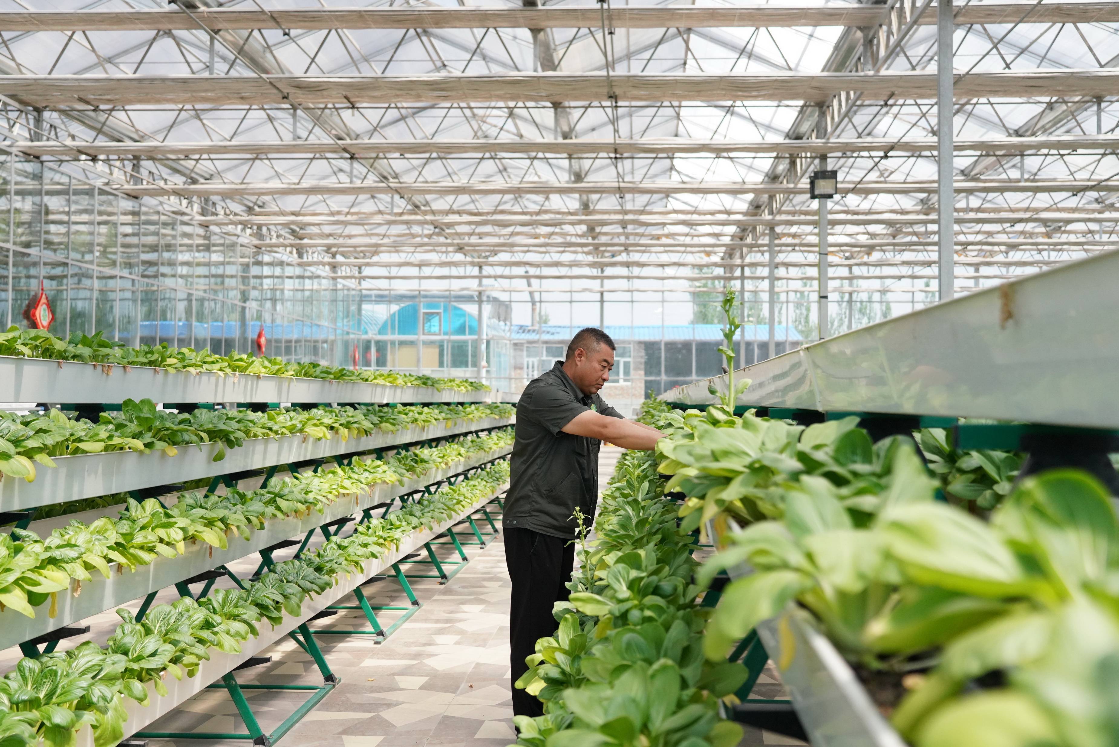 河北万全大力发展现代农业