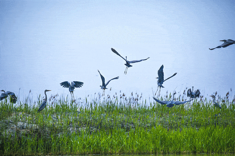 800_533gif 动态图 动图