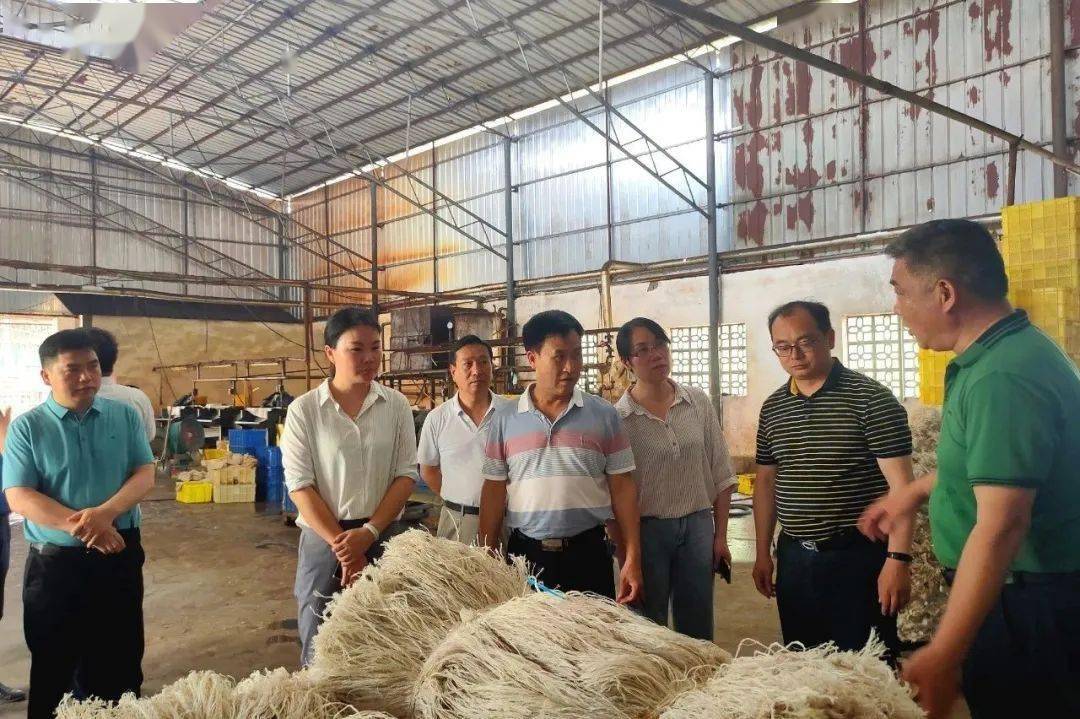 烈日炎炎也阻挡不了高涨的工作热情随后,毛华慧一行来到河池·环江