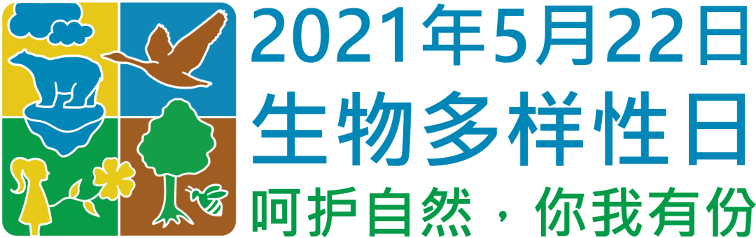 半岛体育app从《指环王》到《阿凡达》我们看的原来是环境教育片？(图16)