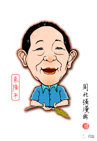 袁隆平院士,一路走好!_水稻