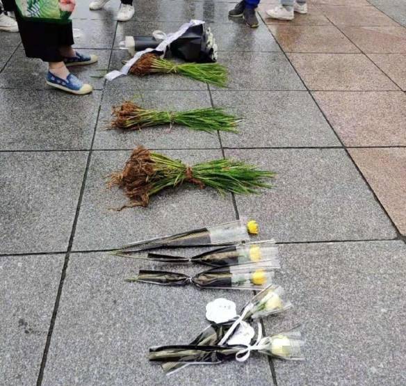 袁隆平院士逝世 市民在医院门口摆三束水稻告慰袁老