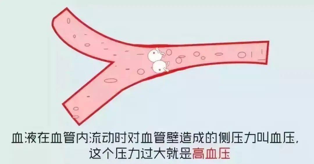 我的血壓在正常範圍嗎