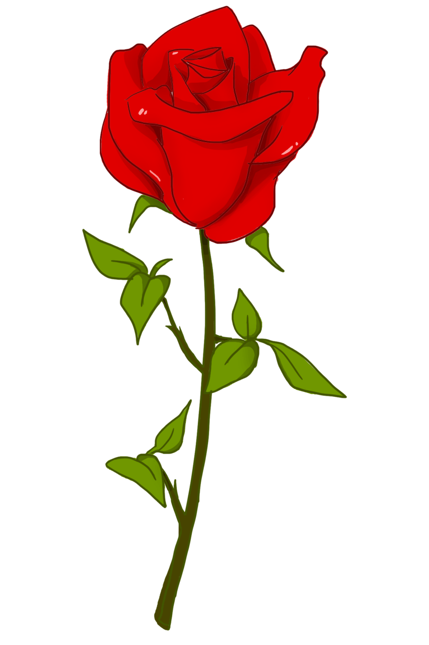 e073f8498f8d4b8e8a02f019d78680cb.png