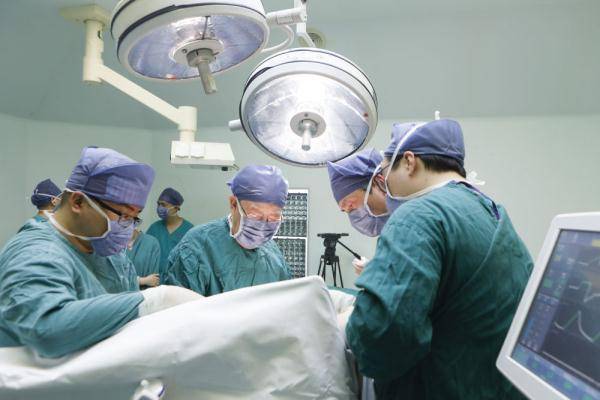 水稻|“双星”永恒！他们这一生到底“值”在哪里？