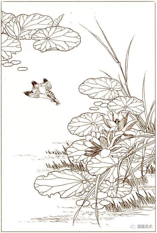 花鸟鱼虫白描画谱4