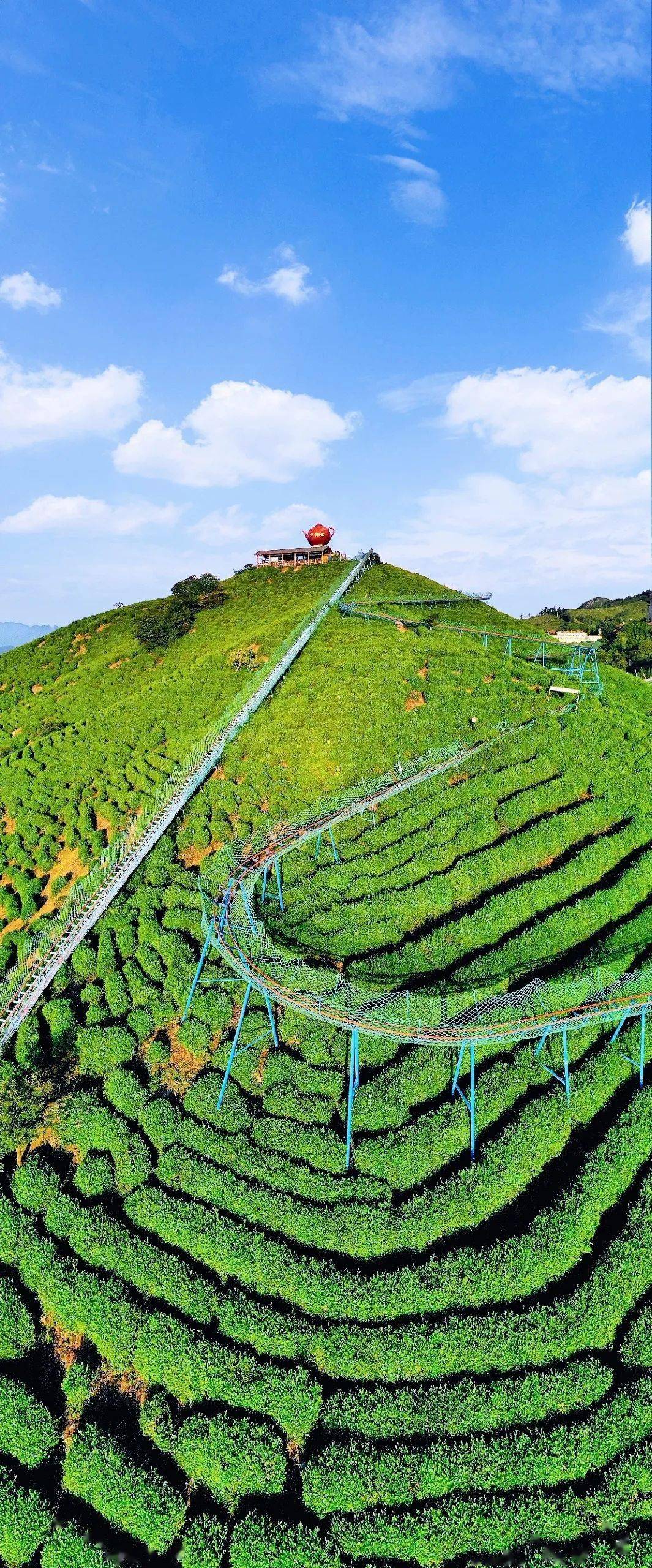 打卡茶山滑道寻根楼览茶山竹海这个夏天来西九华放肆high