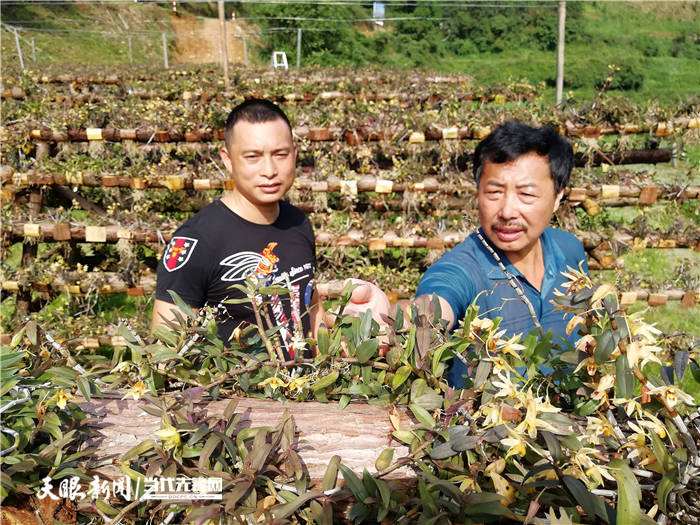 锦屏县林业局局长图片