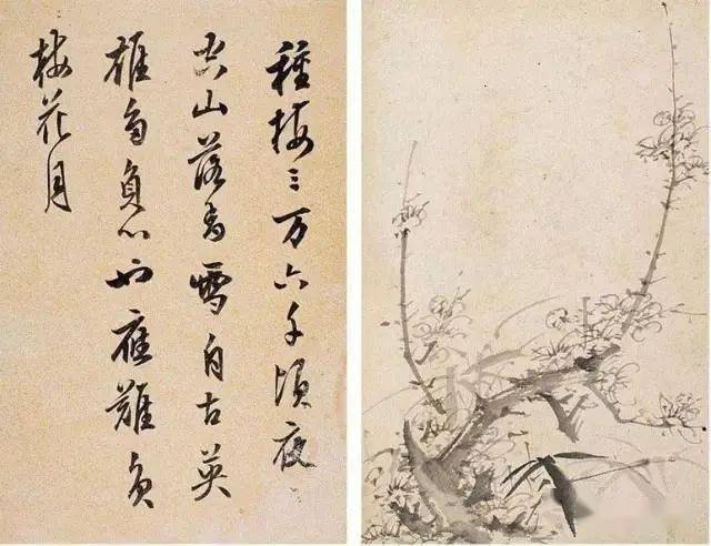 名品视界明陈继儒梅花作品欣赏