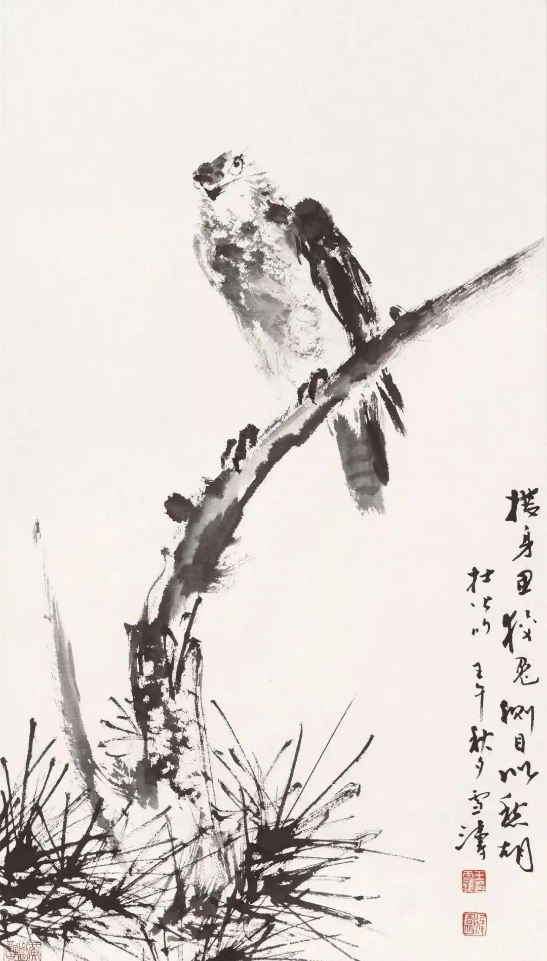 妙手入丹青 王雪涛花鸟高清百图