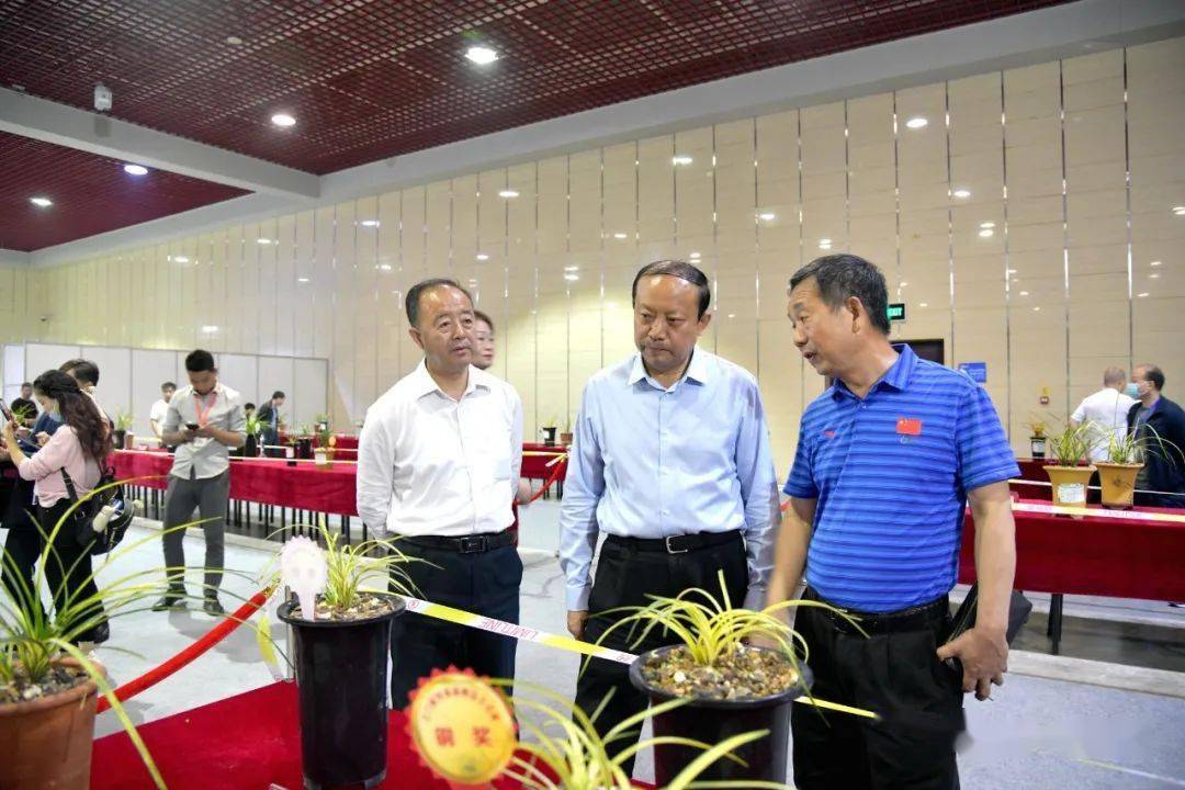 7852021首届三门峡市精品兰花展见闻