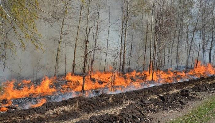 俄罗斯西伯利亚持续异常高温多地森林火灾肆虐 秋明