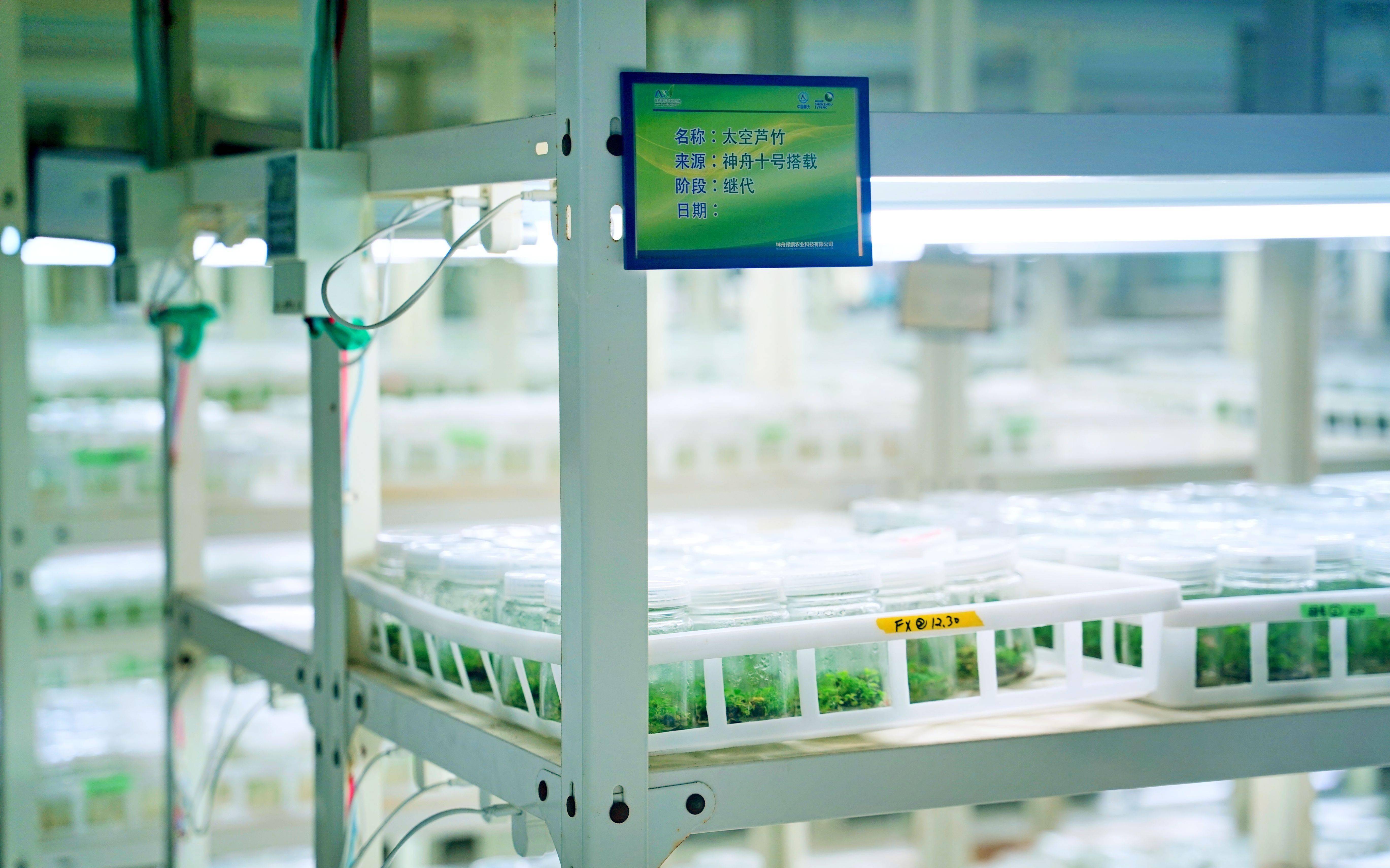 种业科研"国家队"三分之一在北京 "种业硅谷"就在于家务