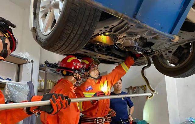 蛇是怎么钻进车里的 26dd21f41aaf4736bca1ec16eef0a9a4.jpeg