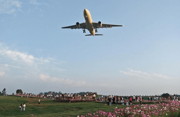 (圖源:instagram)成都空港花田和空港運動公園位於雙流機場附近.