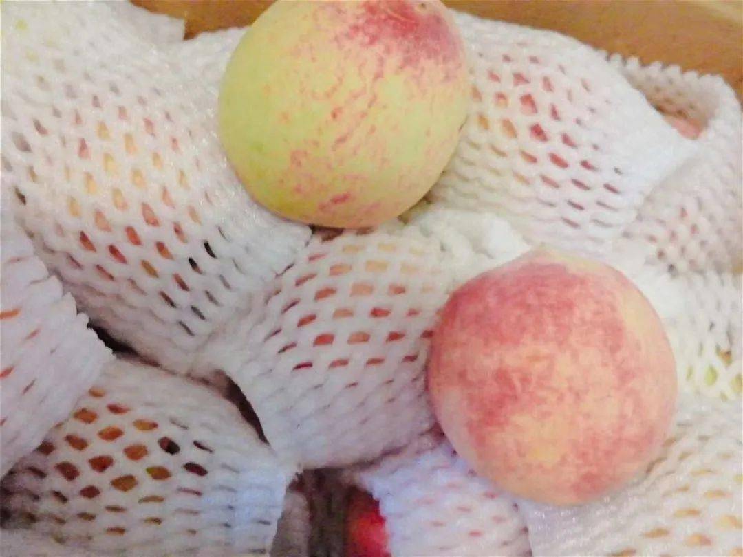 马厂武昌桃熟了继难忘的樱桃初恋之后甜甜蜜蜜的热恋来了