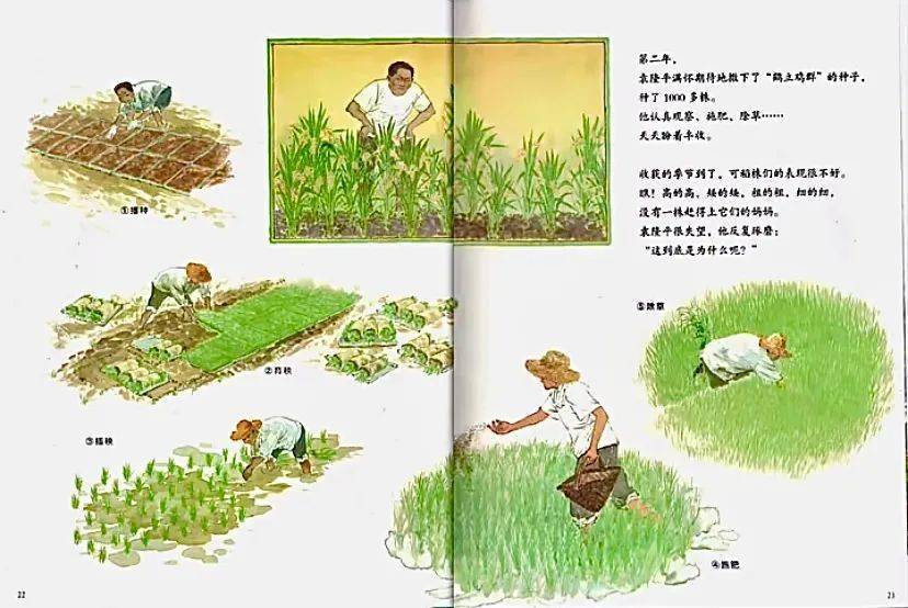 一粒种子改变世界奇想听书汇第57期
