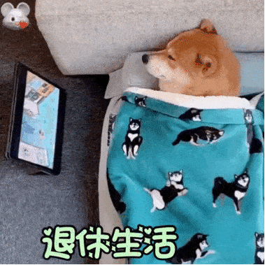 表情包这个字怎么读