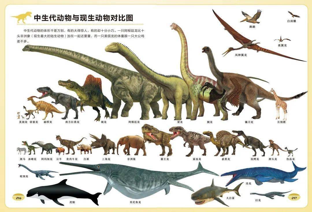 你知道为什么小朋友那么喜欢恐龙吗