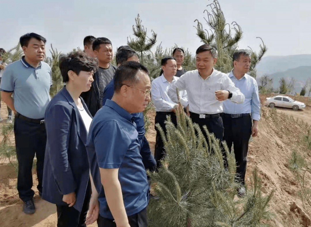 汾西县委书记张安文:加快推进矿山复绿和生态修复治理工作