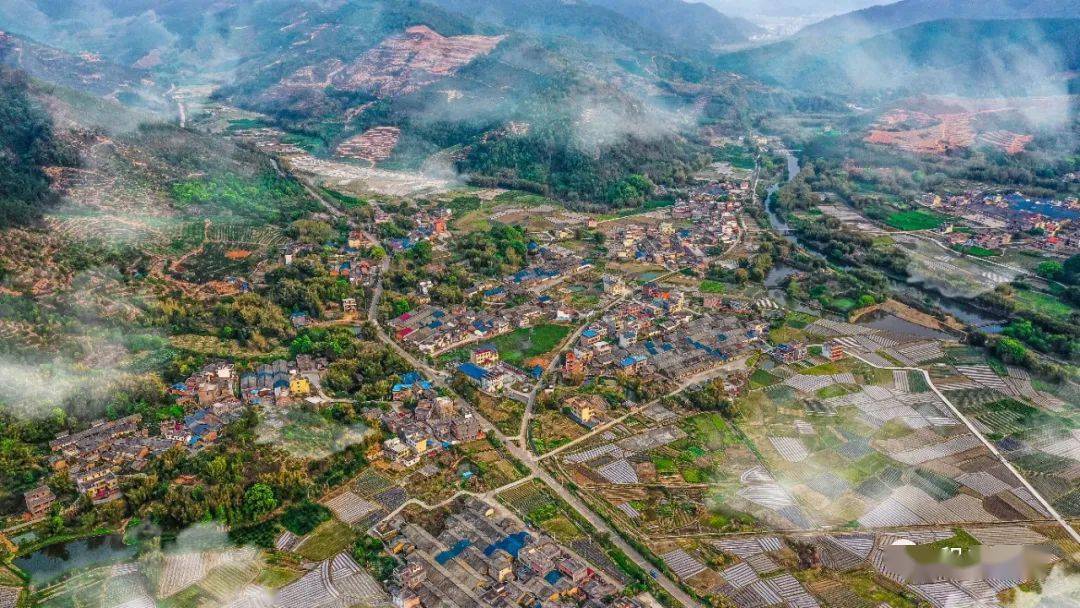 山乡蝶变⑥始兴县大村村:水果四季飘香,金凤凰纷杳而至_刘志湘