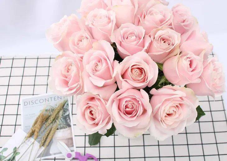 送你一朵小红花 活动