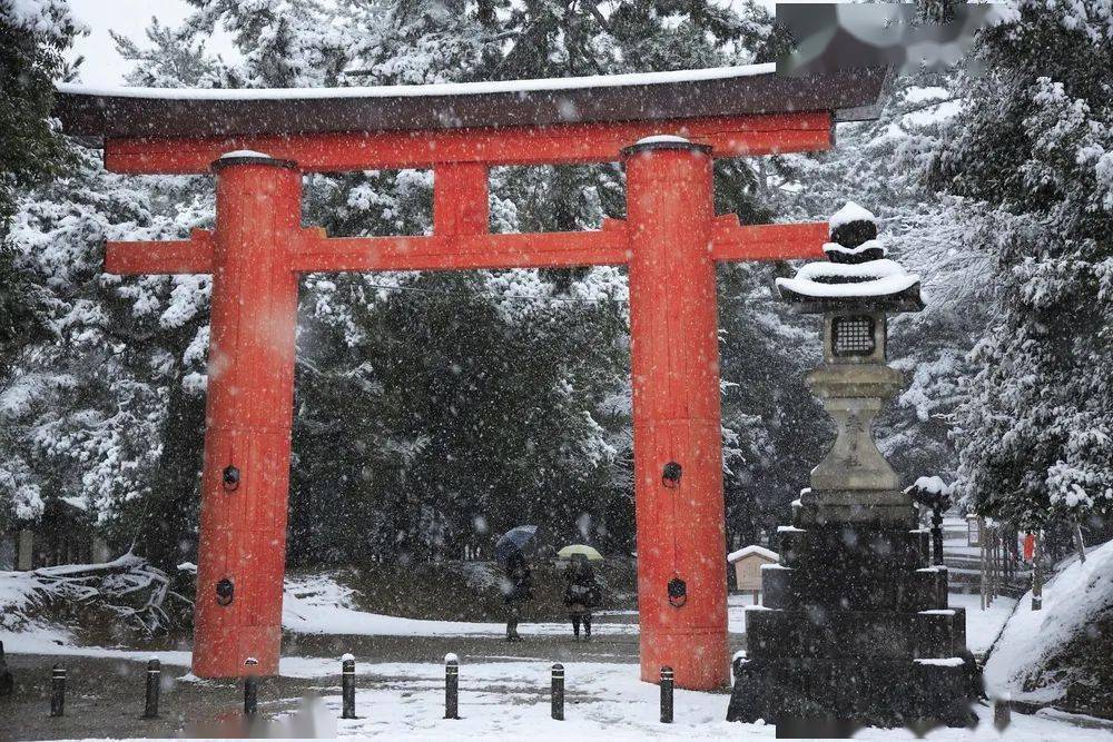 硬核科普 神社的象征 鸟居都有哪些种类 神明