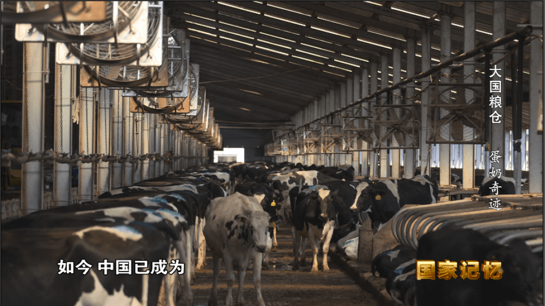 纪录片大国粮仓第七集蛋奶奇迹