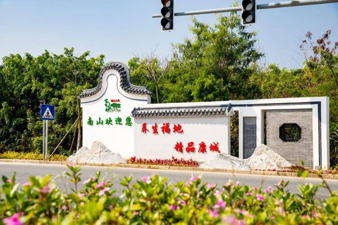 学党史办实事丨南山镇63条村迎接省卫生村验收